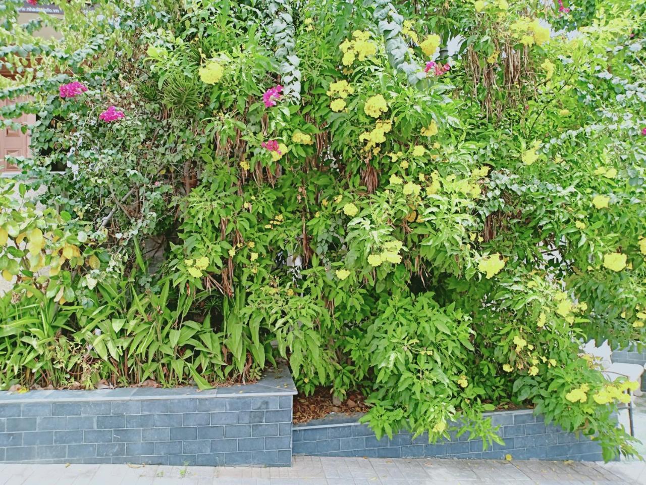 Nha Trang Star Villa Hotel Rum bild
